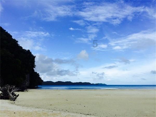液化石油气（LPG）期货主力合约跳水跌近