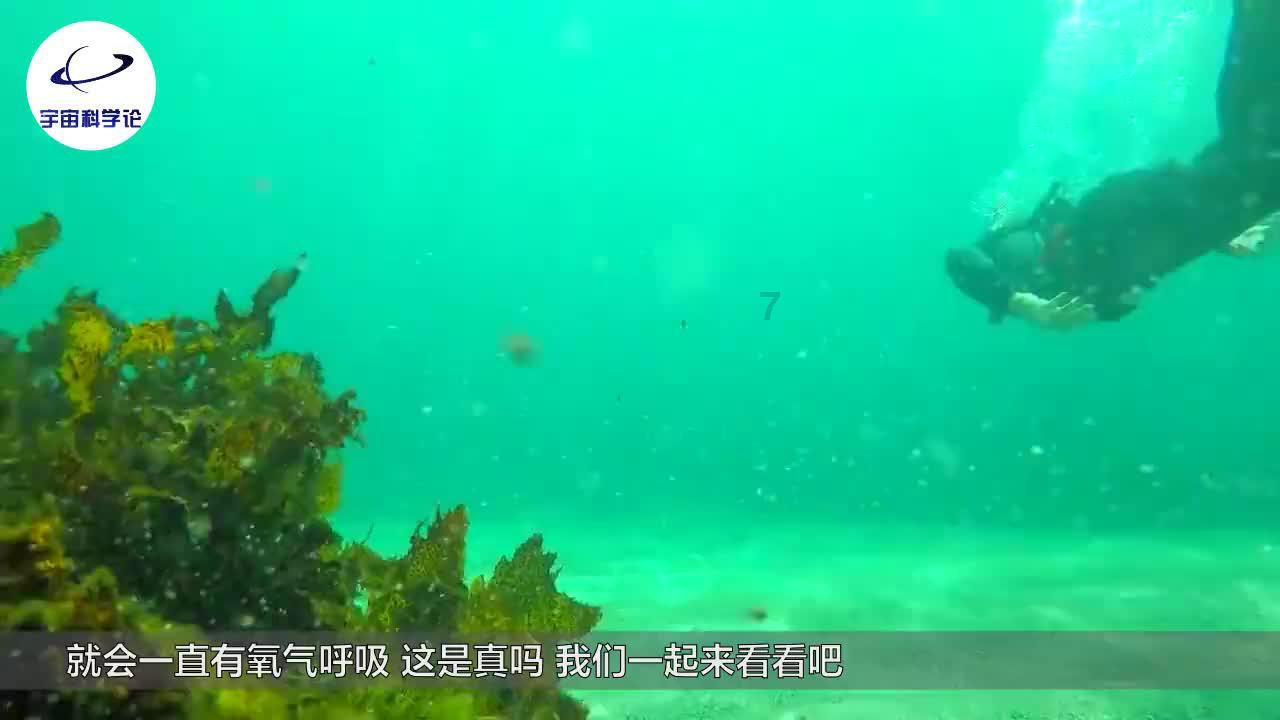 逃离黑白系房屋