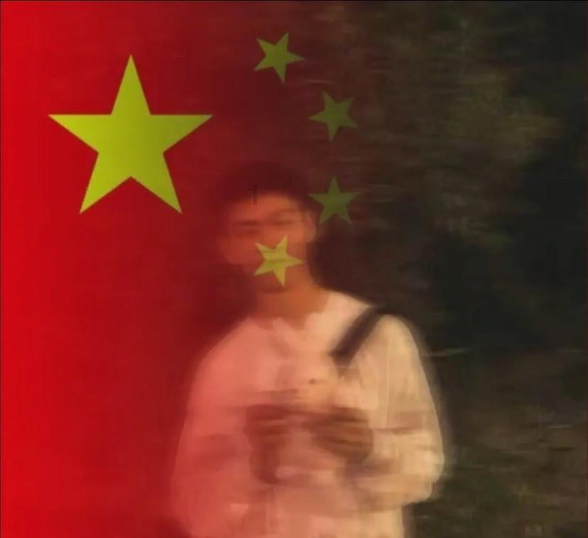 解救野生狐狸