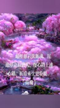 中检西南区域公司挂牌成立